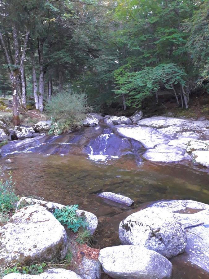 Le Pont Du Moulin 호텔 Saint-Sauveur-Camprieu 외부 사진